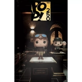 Amelia Earhart image
