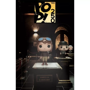 Amelia Earhart image