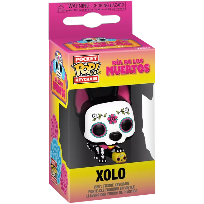Xolo Box