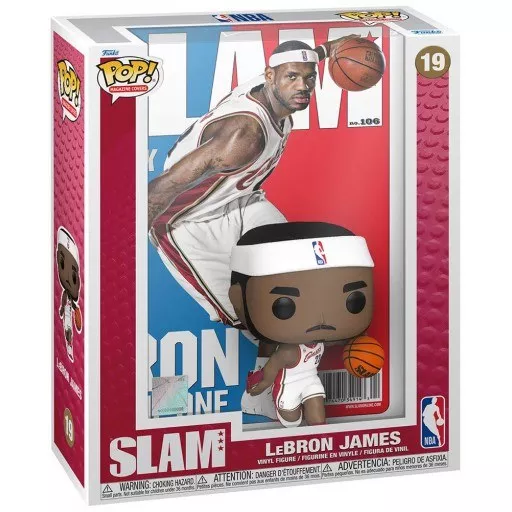LeBron James Box