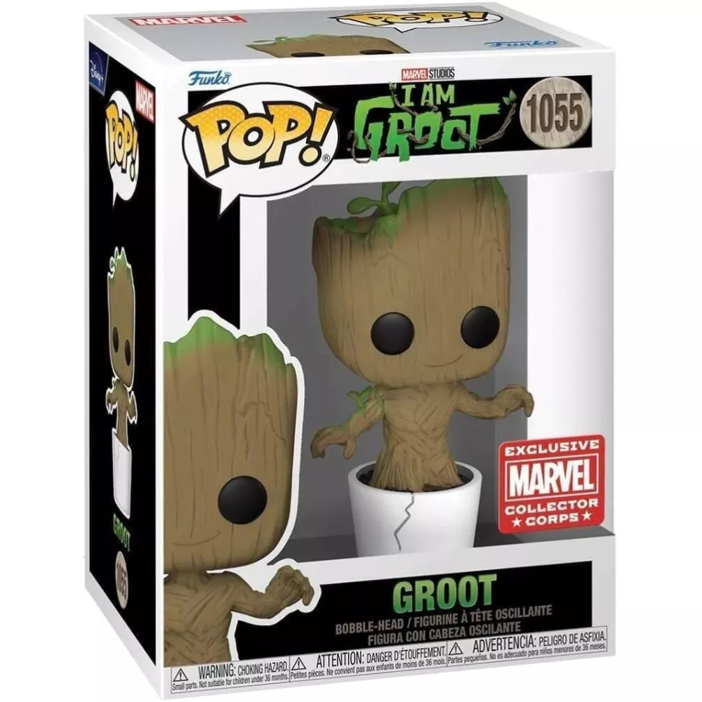 Groot Box