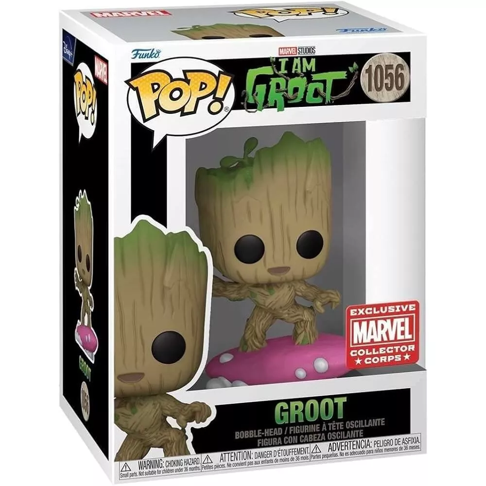 Groot Box