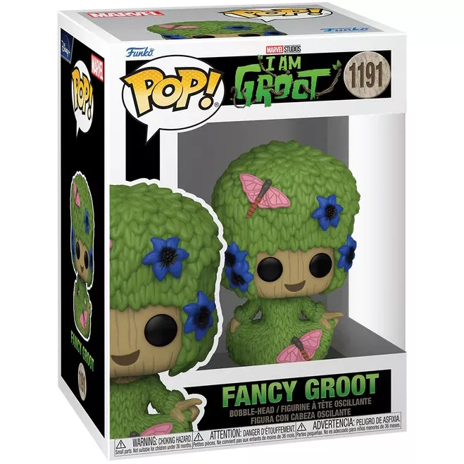 Fancy Groot Box