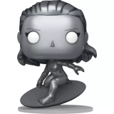 Silver Surfer