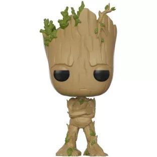Groot