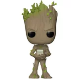 Groot