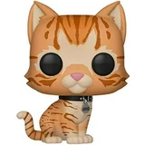 Goose the Cat