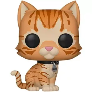Goose the Cat