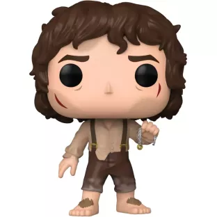Frodo with the Ring image