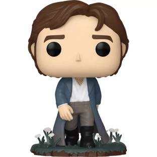Mr. Darcy image