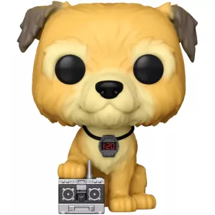Einstein