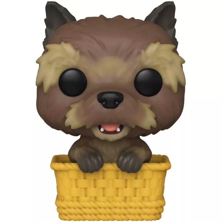Toto in Basket