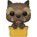 Toto in Basket