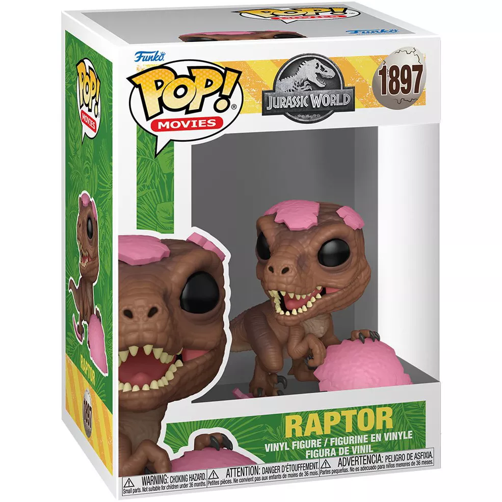 Raptor Box