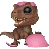 Raptor image