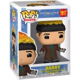 Harry