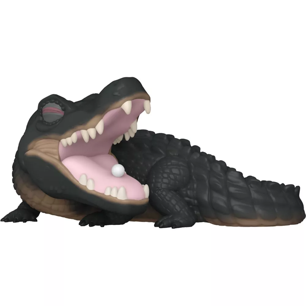 Alligator
