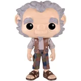 #316  The Big Friendly Giant - Collectible Figure
