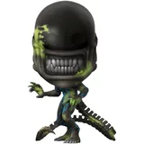 Xenomorph image
