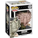 Oram