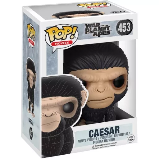 Caesar Box