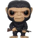 Caesar image