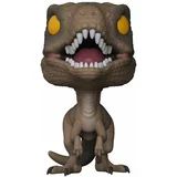 Velociraptor