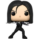 Alita (Berserker Body)