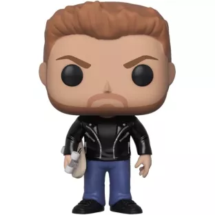 Lucas Lee image