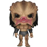 Assassin Predator