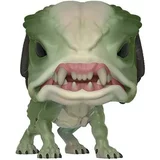 Predator Hound
