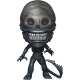 Xenomorph image