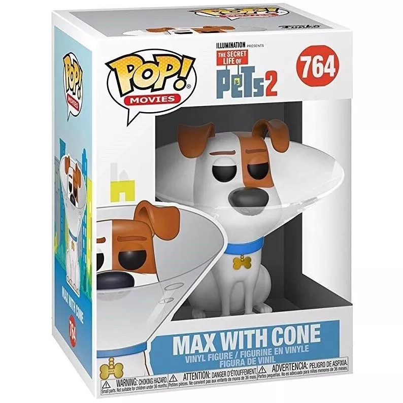 Max with Cone Box