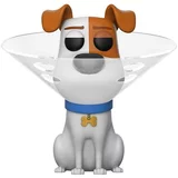 Max with Cone