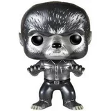  Wolf Man - Collectible Figure