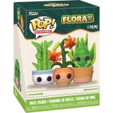 Box Image