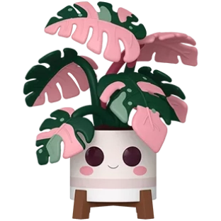 Monstera image