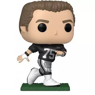 Howie Long image