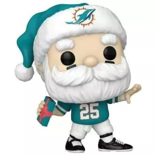 Dolphins Santa image