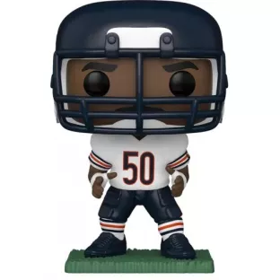 Mike Singletary image