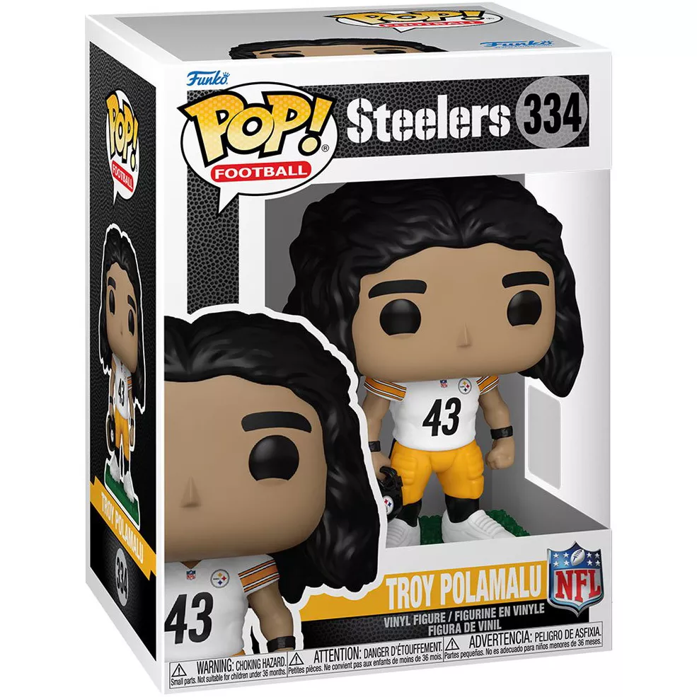 Troy Polamalu Box