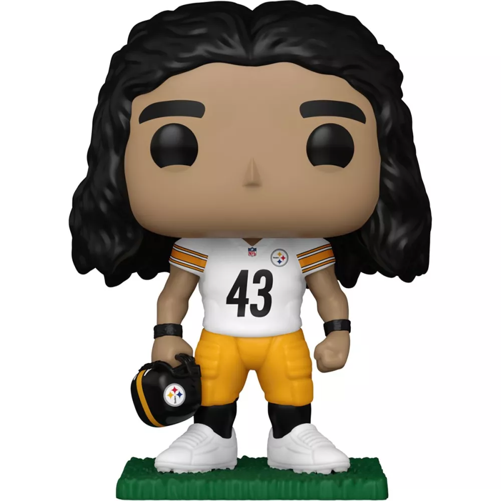 Troy Polamalu