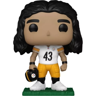 Troy Polamalu