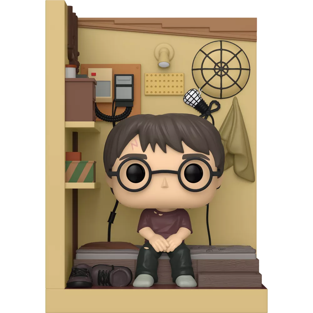 Harry Potter in Cupboard