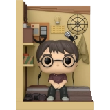 Harry Potter in Cupboard