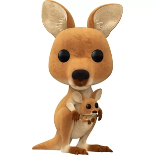 Kangaroo image