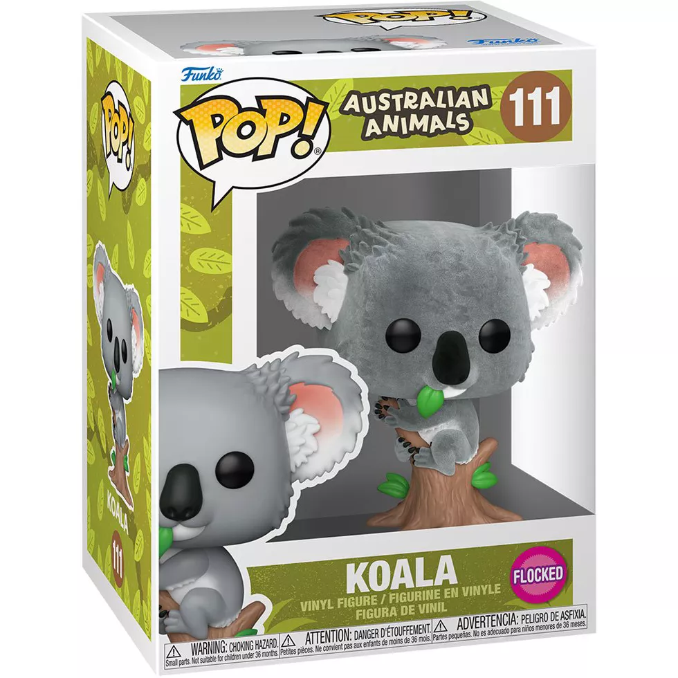 Koala Box