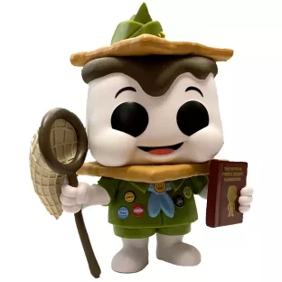 S'mores Boy image