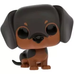 Dachshund image