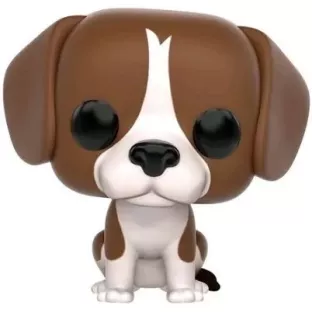 Beagle image